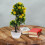 Künstlicher Fruchtbaum PP Blumen Büro Desktop 2