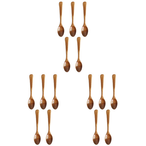 15 Stuks Mini Dessertlepel 12,5 Cm 1