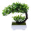 Künstliche Bonsai Pflanzen Grün 2 1