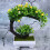 Künstliche Bonsai Pflanzen Grün 2 9