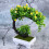 Künstliche Bonsai Pflanzen Grün 2 7
