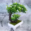 Künstliche Bonsai Pflanzen Grün 2 11