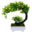 Künstliche Bonsai Pflanzen Grün 2 3