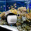 1St 1Mx30Cm Aquariumfilter Schwammpad 10