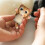 Plüsch Orange Filzen DIY Set Für Kinder Und Erwachsene 7
