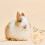 Hay Holder Für Futterkugel Beige 1 6