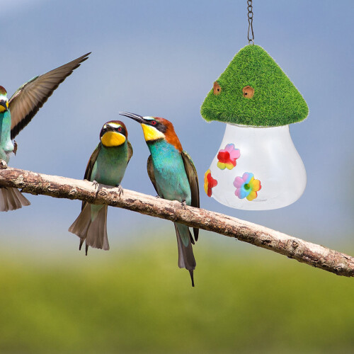 Delicate Vogelfutterhäuschen Für Außenbereich Hängend Für 2