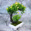 Künstliche Bonsai Pflanzen Grün 2 6