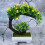 Künstliche Bonsai Pflanzen Grün 2 9