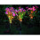 2Stk Solar Led Blumenstäbe Für Außenbereich 2