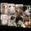 Hond Muzzle Luchtgaas Verstelbaar Bruin 1 Set 7