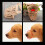 Hond Muzzle Luchtgaas Verstelbaar Bruin 1 Set 9