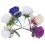Assorted Color Bruiloft Decoratieve Boutonnière 6 Stuks 10
