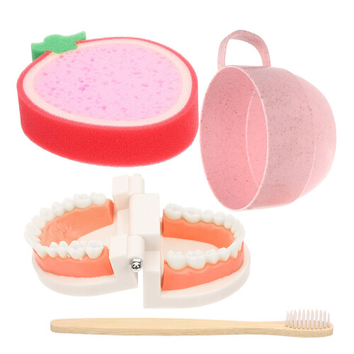 1 Set Zahnpflege Modell Für Kinder Zähneputztraining
