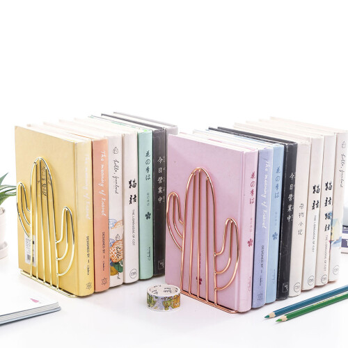 Magazine Organizer Mit Kaktus Design 1