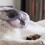 Kitten Mondbedekking Mondsnoer 1 Set Ademend 8