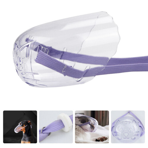 Kitten Mondbedekking Mondsnoer 1 Set Ademend 2