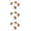 12 Bonsai Bäume Für Wohnen Desktop 7