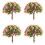 12 Bonsai Bäume Für Wohnen Desktop 2