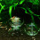 Transparente Garnalenvoederbakje Van Acrylglas 11