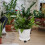 Socle Pour Pots De Fleurs À Roulettes Durable PP 10