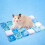 2 Hamster Koel Pad Chinchilla Zandbad 6