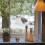 Kitten Window Bed 1 Met Zuignap Ontwerp 8