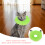 Kitten Recovery Cone Nylon Hellgrün Scratch 1 Stuck 10