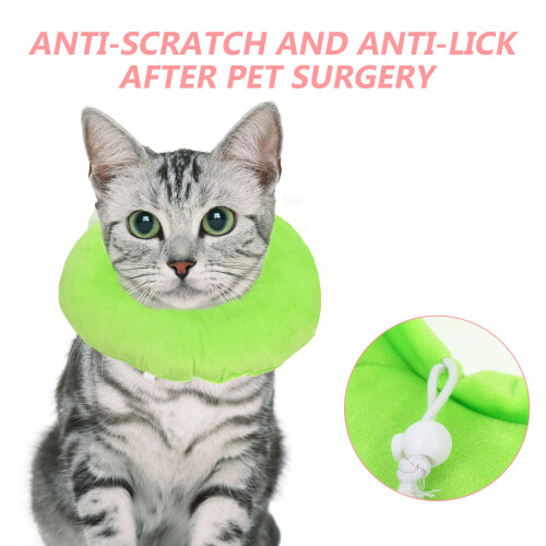 Kitten Recovery Cone Nylon Hellgrün Scratch 1 Stuck 2