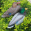 Raindrops -Attrappe Jagd EVA Jagd Multi Zufallsmodell 1Stk 9