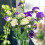3Pcs Flores Falsas Hidrângea Brancas Para Decoração Interna 11