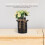 3Pcs Flores Falsas Hidrângea Brancas Para Decoração Interna 9