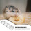 Hamster Futter Koreanischer Haustier 9