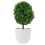 Künstliche Pflanzenkugel Bonsai Grün 8