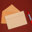 50 -Envelope-Freezer- , Abnehmbar, Khaki 5