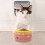 Pet Keramikschüssel Futter Schüssel Universal 11