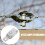 5Stk Professionelle Kabelspanner Hochfeste Kabelstraffer Stahlspanner 4