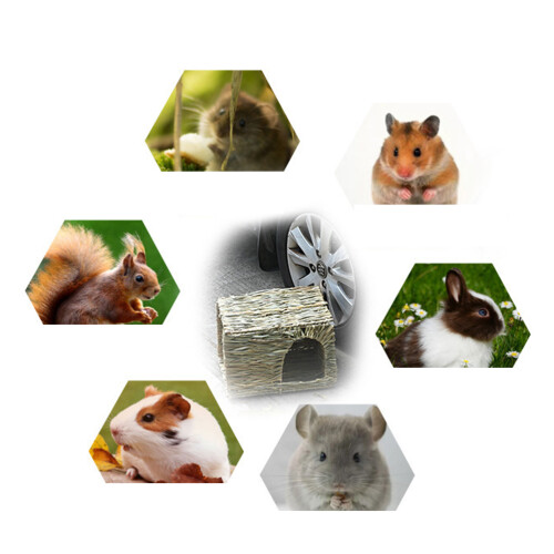 Hamsterhuis Eekhoorntjeshuis Hamsterhut 2