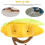 Food Fruit Feeder Robuster Tierfutter Spender 14x10 Cm 4