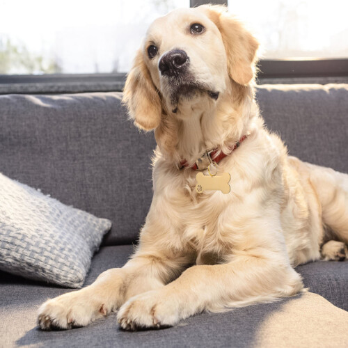 Pet Marke Namensschild Knochenform 1