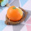 1St Vogelfutter Papageienfutter Box Mit Und 5