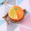 1St Vogelfutter Papageienfutter Box Mit Und 8