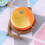 1St Vogelfutter Papageienfutter Box Mit Und 11