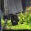 4Stk. Aquarium Power Head Mit 6