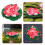 1Pc Simulation Lotus Artificial Flower Red Eva for Pond Decoration 4