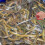 Raindrops Fischzange Aus Stahl 1 4