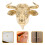 Drawer Knobs Hardware Gebürstetes Gold Schrankgriffe 3