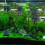 3 Aquarium Pumpe Mit Saugnapf 5