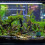 3 Aquarium Pumpe Mit Saugnapf 3
