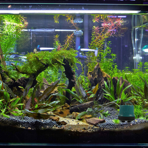 3 Aquarium Pumpe Mit Saugnapf 2